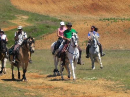 Imagen Vellosillo organizará un concurso de equitación el 18 de Junio de 2016