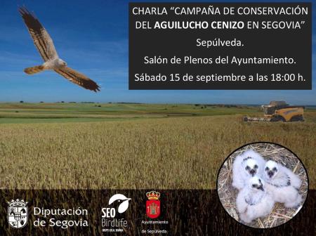 Imagen Charla Participativa sobre la Campaña de Conservación de Aguiluchos en la provincia de Segovia