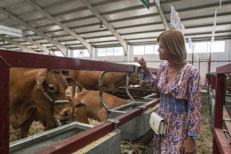 Imagen La Diputación de Segovia refuerza su presencia en Salamaq 2025 con un expositor para la promoción de Alimentos de Segovia y el turismo provincial