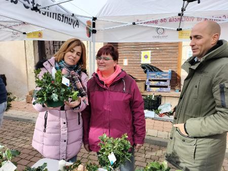 Imagen La provincia de Segovia celebra el puente de diciembre con la Feria del Acebo de Prádena y un amplio programa festivo y navideño en los municipios