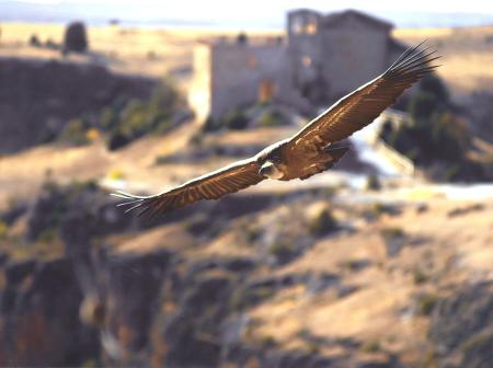 Juan Manuel Hernandez Lopez de Villalba