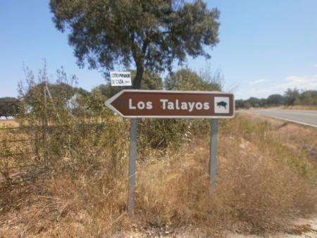 Imagen Herederos de D. Manuel Santos Alcalde Domingo 28