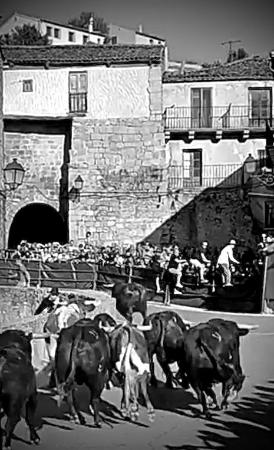 Imagen PROGRAMA DE FIESTAS SEPULVEDA 2023