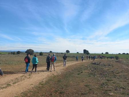Imagen La Diputación de Segovia organiza una marcha por la última etapa del Camino de San Frutos para celebrar el día del santo eremita